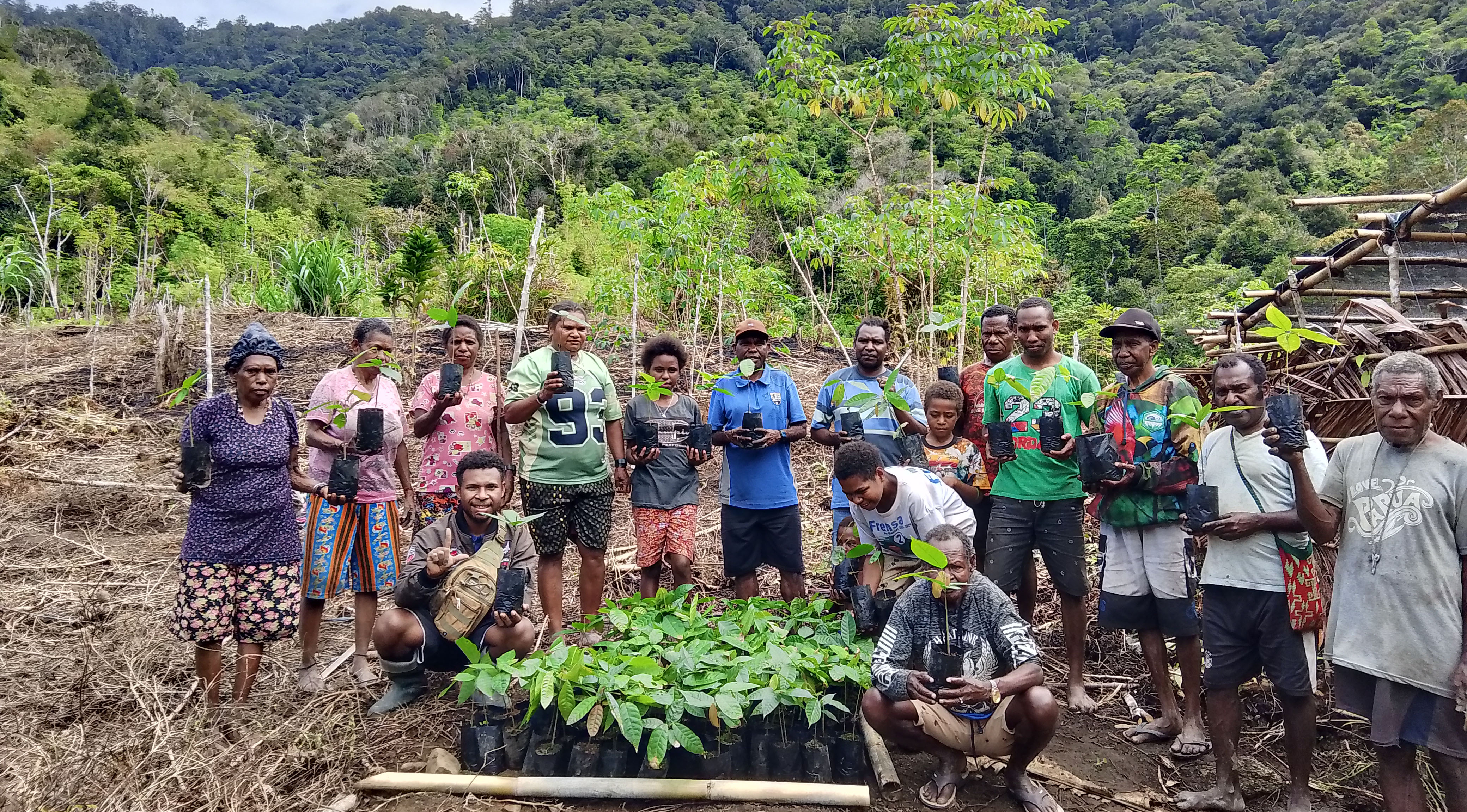 Penanaman Kakao Di Kampung Aryawenmoho